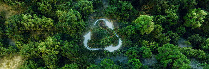 Sustainable Development Concept
